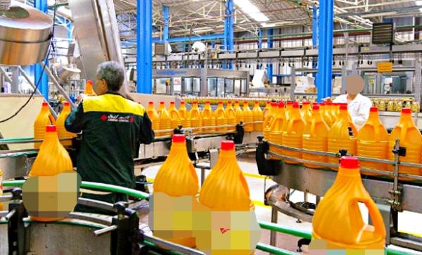 فاو: أسعار "زيت المائدة" تسجل انخفاضا كبيرا في الأسواق العالمية